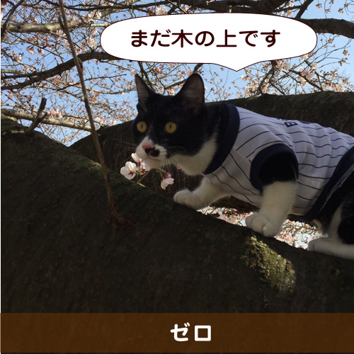 20151026_touko.jpg