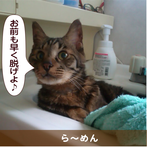 20151112_touko.jpg