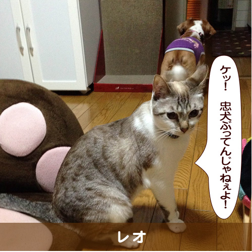 20151116_touko.jpg