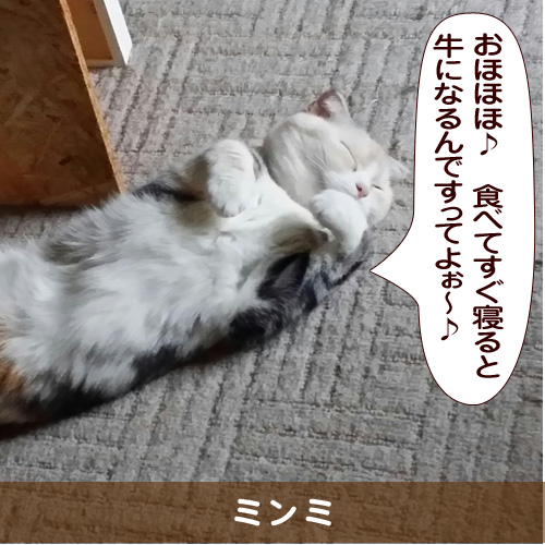 20151203_touko.jpg