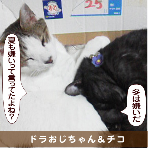 20151205_touko.jpg