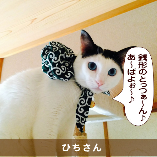 20151209_touko.jpg