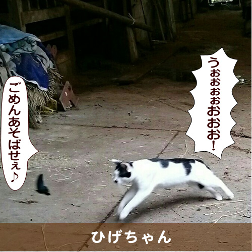 20151211_touko.jpg