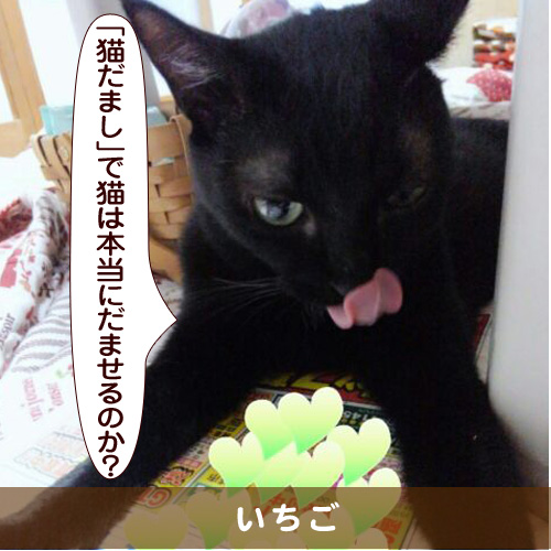 20151224_touko.jpg