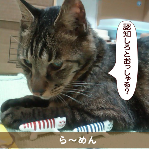 20151229_touko.jpg