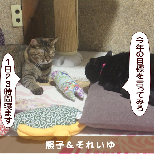 20160109_touko.jpg