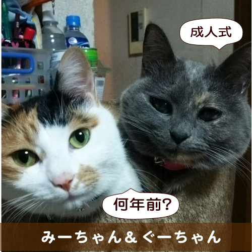 20160111_touko.jpg