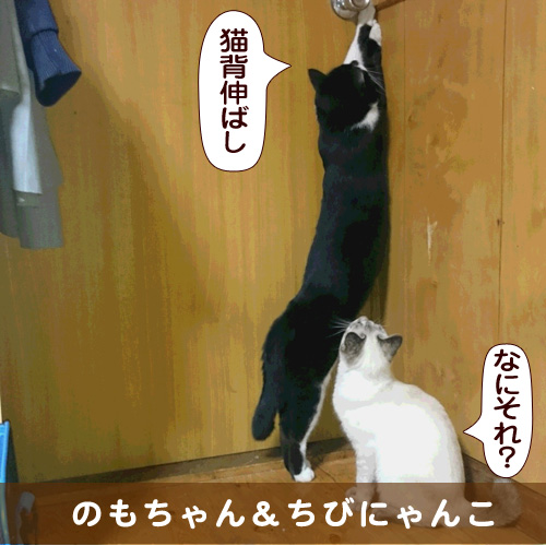 20160122_touko.jpg