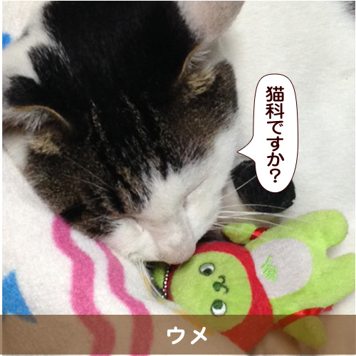 20160126_touko.jpg
