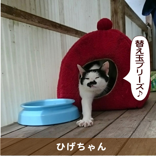 20160205_touko.jpg
