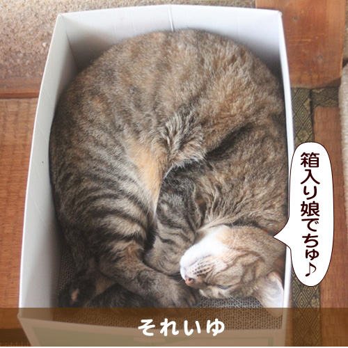 20160210_touko.jpg