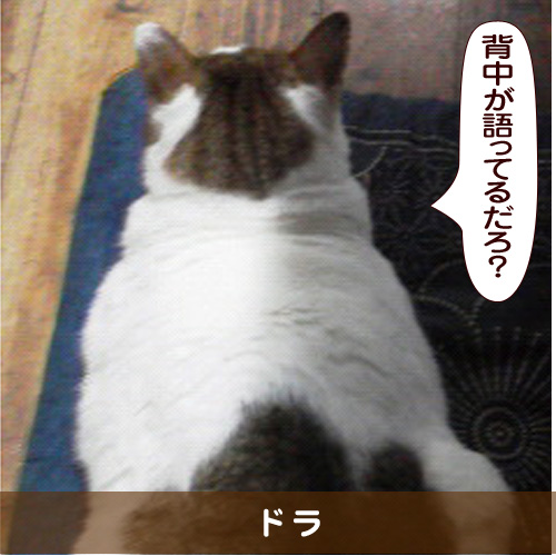 20160223_touko.jpg