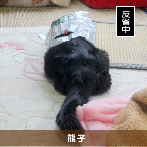 20160301_touko.jpg