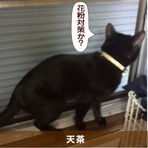 20160403_touko.jpg