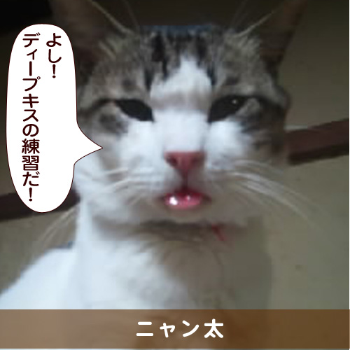 20160506_touko.jpg