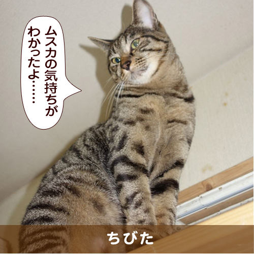 20160509_touko.jpg