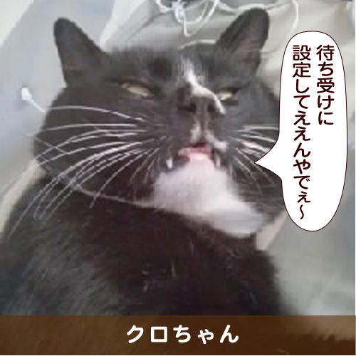 20160511_touko.jpg