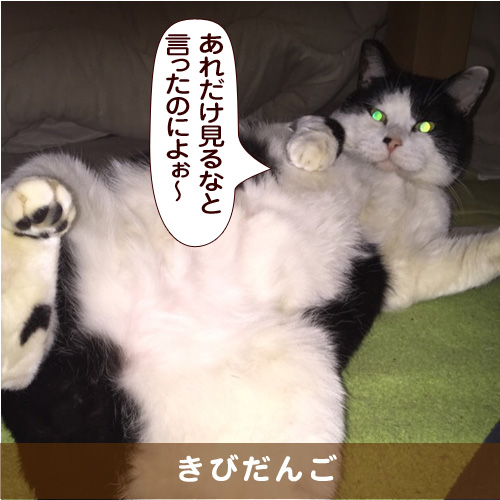 20160513_touko.jpg