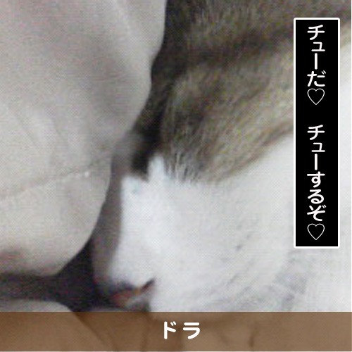 20160524_touko.jpg