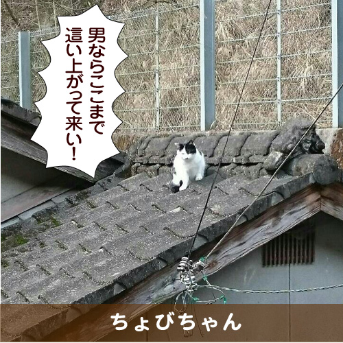 20160525_touko.jpg