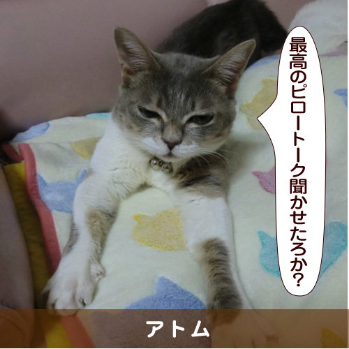 20160720_touko.jpg