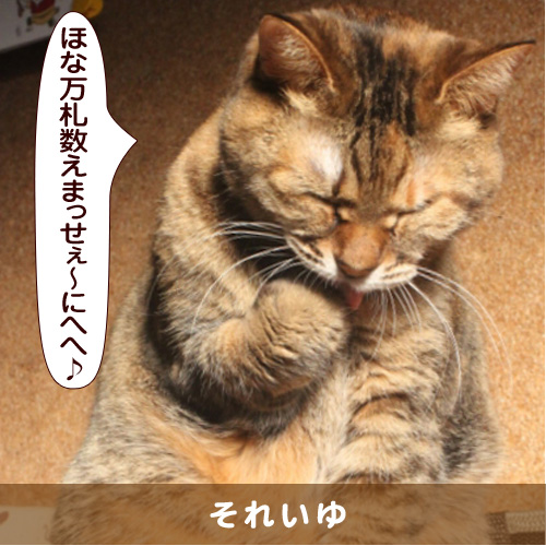 20160722_touko.jpg