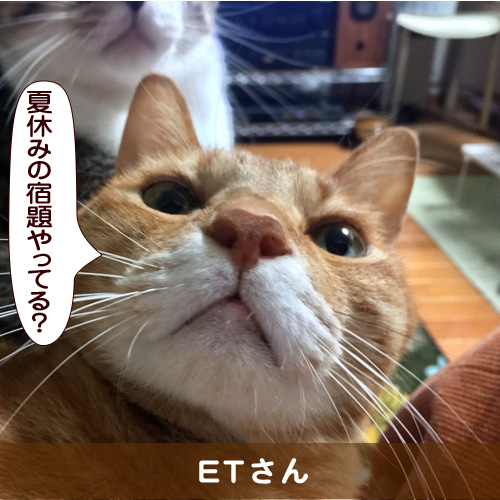 20160811_touko.jpg
