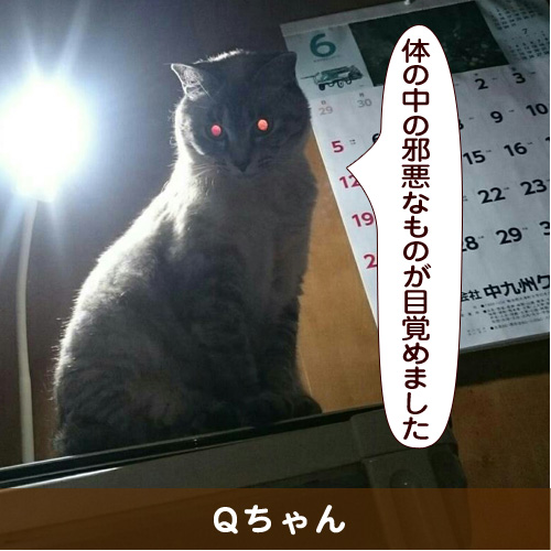 20160819_touko.jpg