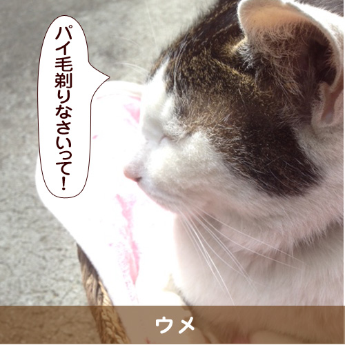 20160820_touko.jpg