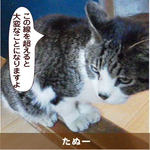 20160822_touko.jpg