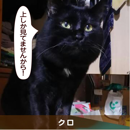 20160823_touko.jpg