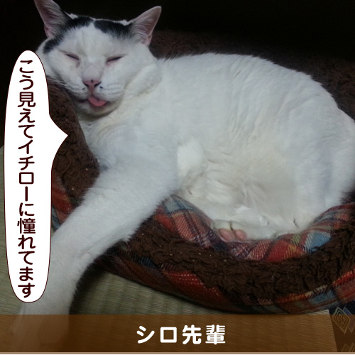 20160824_touko.jpg