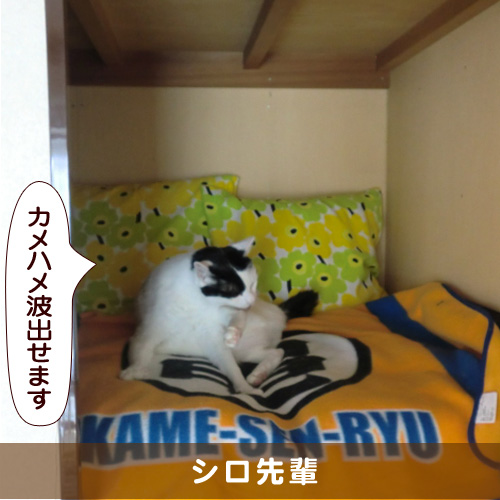 20160825_touko.jpg