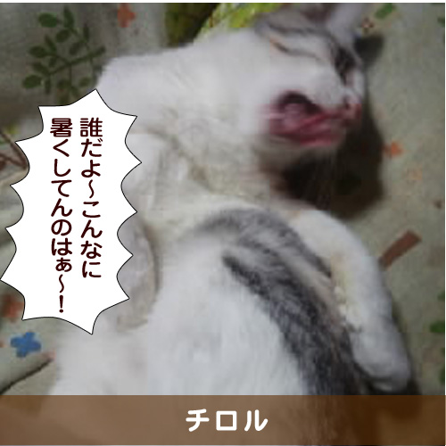 20160830_touko.jpg