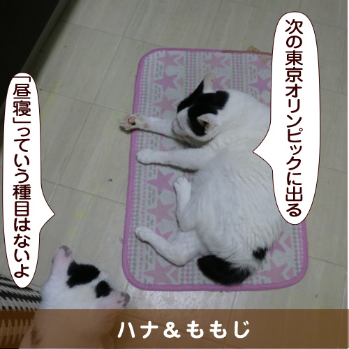 20160904_touko.jpg
