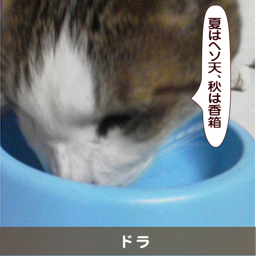 20160910_touko.jpg