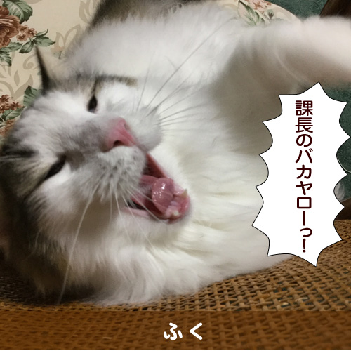 20160926_touko.jpg