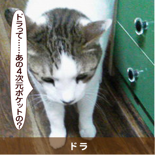 20161021_touko.jpg