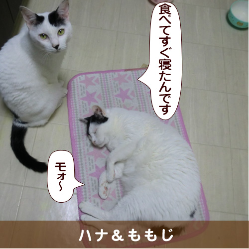 20161022_touko.jpg