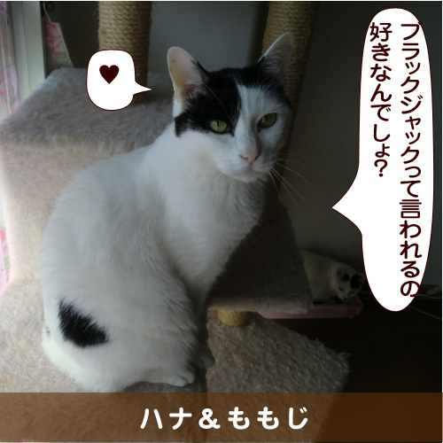 20161023_touko.jpg