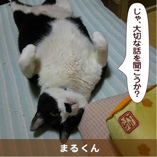 20161024_touko.jpg