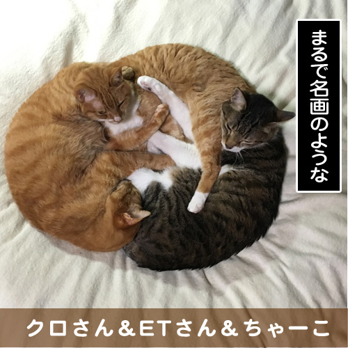 20161026_touko.jpg