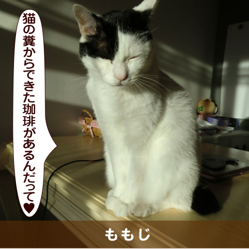 20161028_touko.jpg