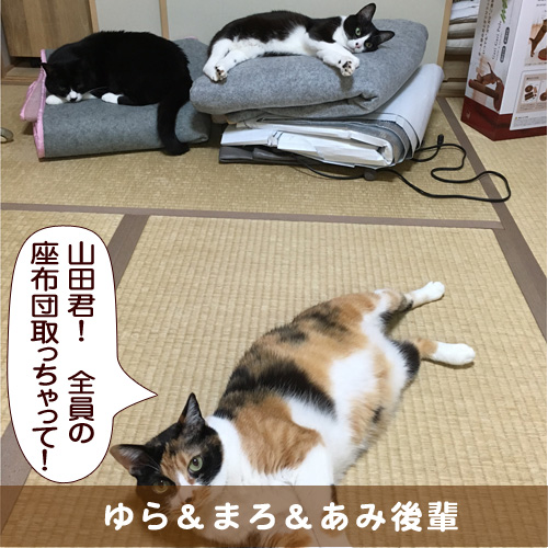 20161029_touko.jpg