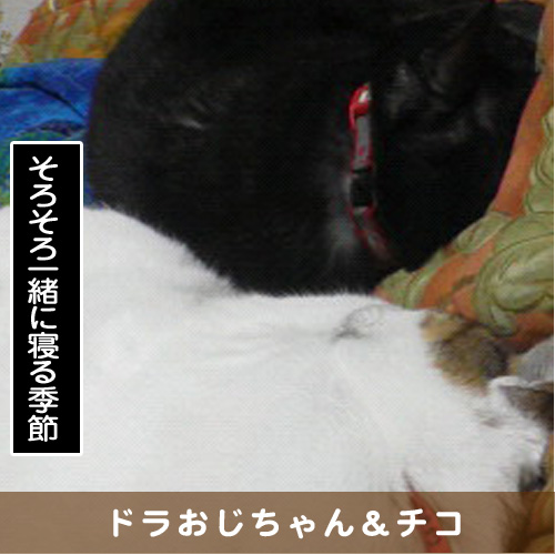 20161031_touko.jpg