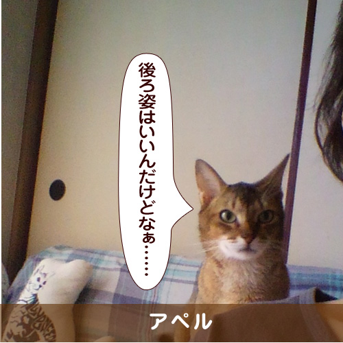 20161109_touko.jpg