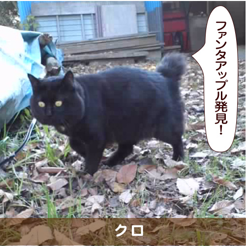 20161116_touko.jpg