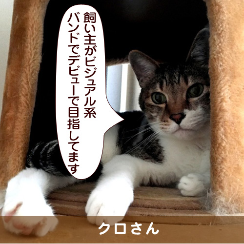 20161118_touko.jpg