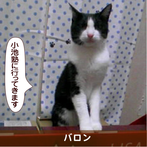 20161211_touko.jpg