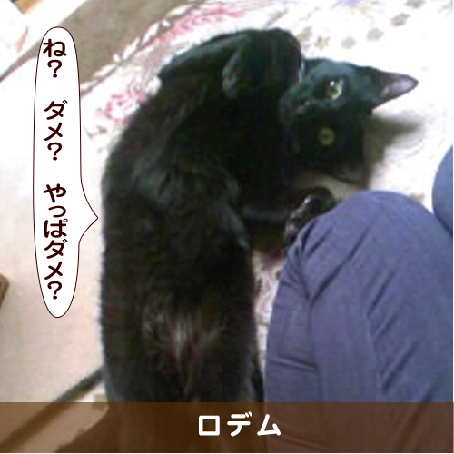 20161220_touko.jpg